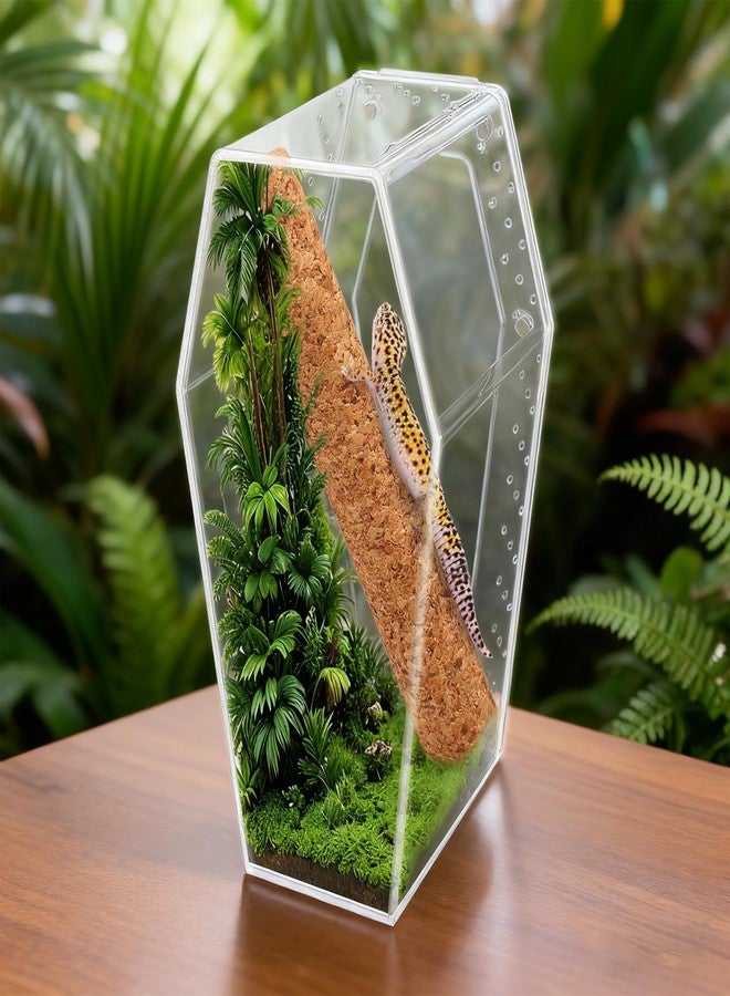 Dmnnlp Jumping Spider Enclosure, Magnetic Door Acrylic Terrarium with Feeding Dish & Landscape Stick for Tarantula Snails Insects Reptiles Plants, Coffin Shape Tabletop Decor 4" x 4" x 8" - Image 5
